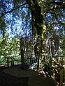 Dublino e Galway_022